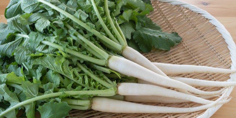 大根菜の育て方