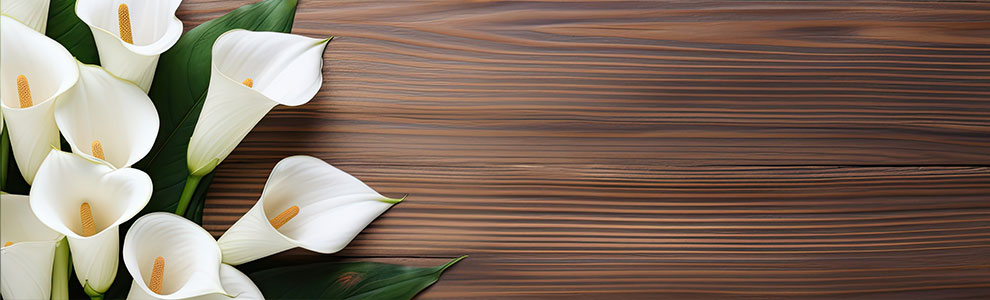 カラーの育て方