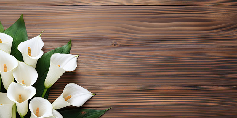 カラーの育て方