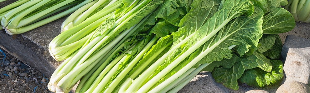 ビタミン菜の作り方