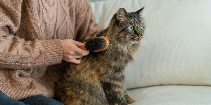 下の材料を用意する