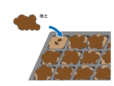 土を被せる（覆土）