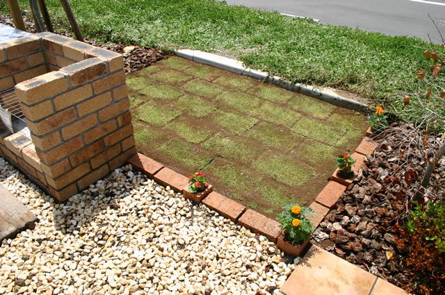 芝生を張った後