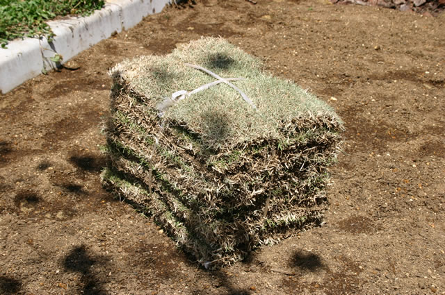 支柱・本体はしっかり固定する