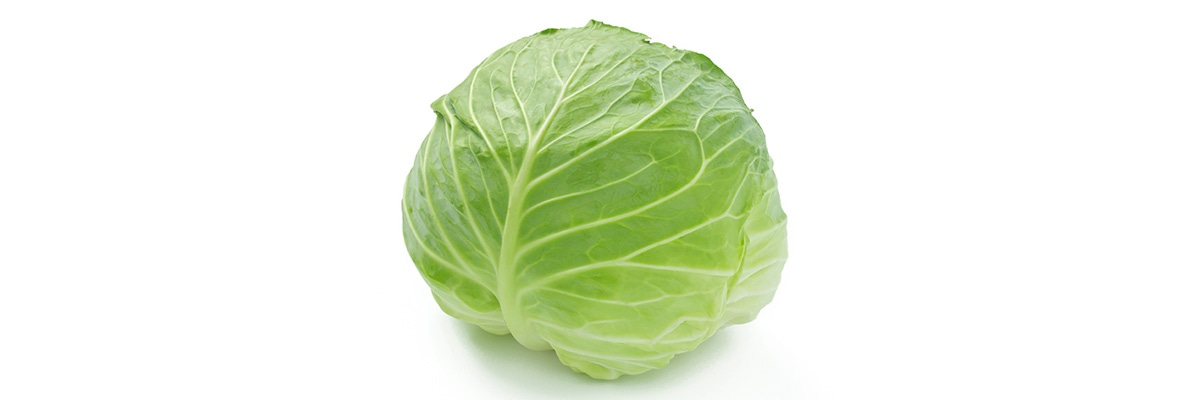 栽培のポイント