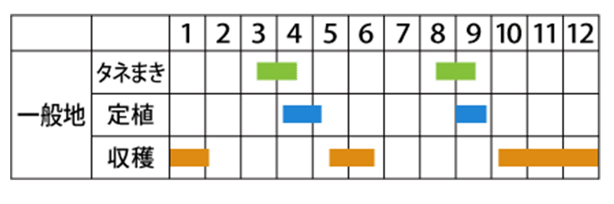 栽培カレンダー