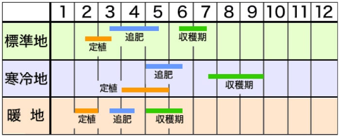 栽培カレンダー 春作