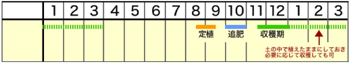 栽培カレンダー 秋作