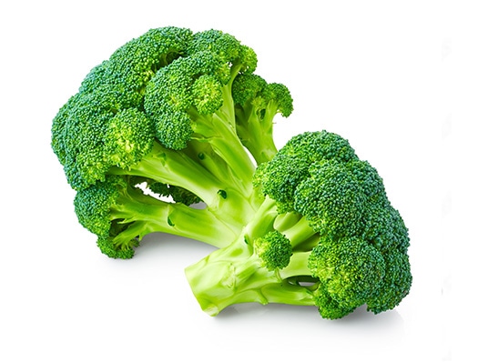 栽培のポイント