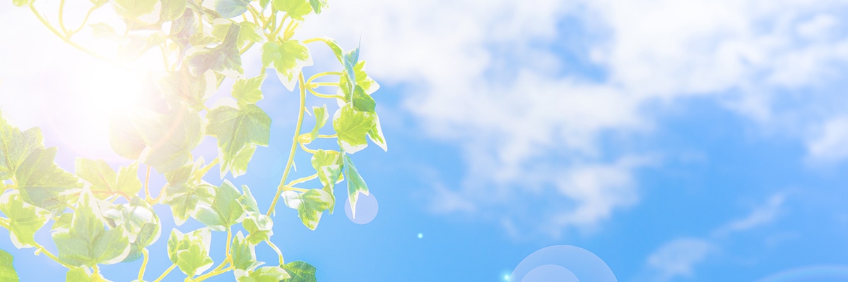 日差しのイメージ