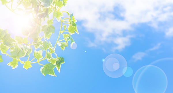 日差しのイメージ