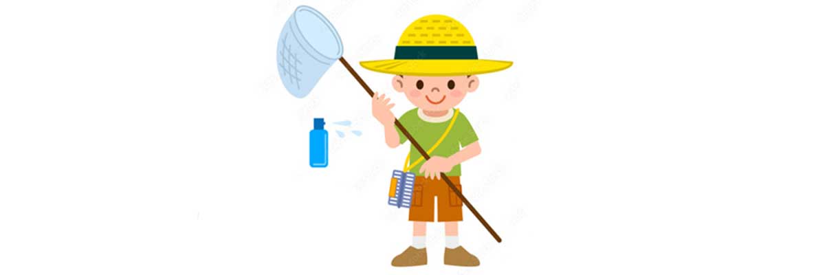 昆虫を取りに行く絵のイメージ（網とカゴと虫よけスプレーを含む）