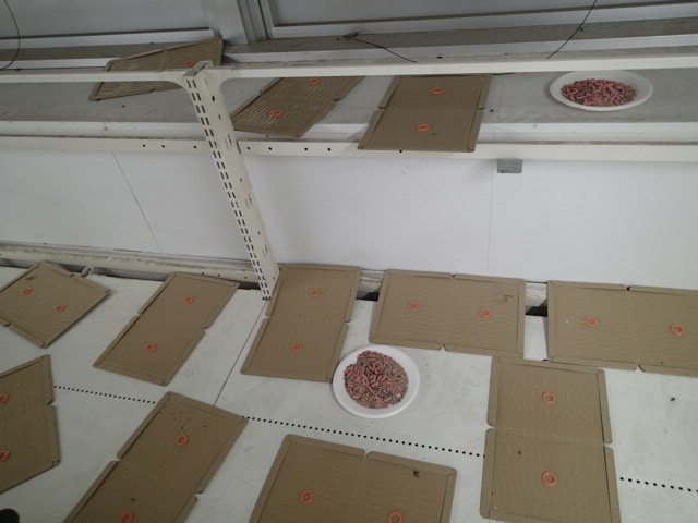 �g���b�v�ݒu