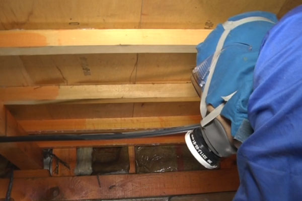 害虫駆除・防除