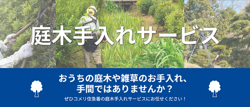 庭木手入れサービス