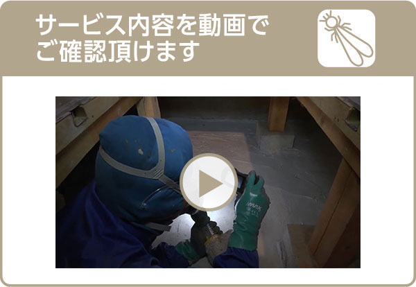 �Z�}�Ԕ��A���h���T�[�r�X