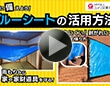 ブルーシートで雨漏り対策