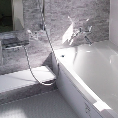 �V�X�e���o�X