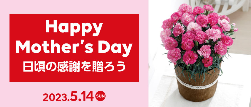 �V�������t�H�[�����W