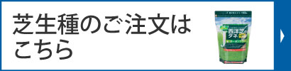 芝生種