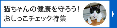 猫ちゃんの健康を守ろう！おしっこチェック特集
