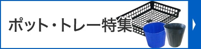ポット・トレー特集