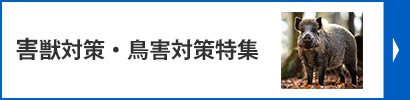 防獣・防鳥用品特集特集
