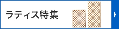 ラティス特集