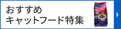ネコちゃんフード特集