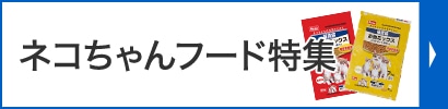 ネコちゃんフード特集