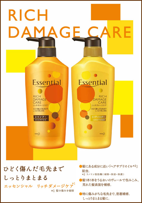 �G�b�Z���V�����@���b�`�_���[�W�P�A