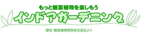 �x�X�g�K�[�f���v�����W