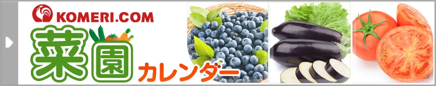 �؉��J�����_�[