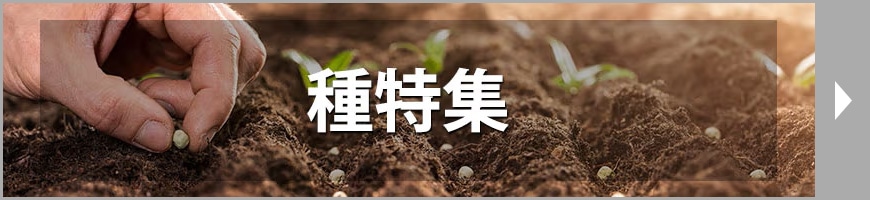 種特集