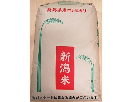 �V�����Y�R�V�q�J�� ���� 30Kg