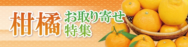 柑橘お取り寄せ特集