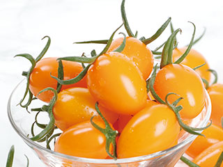 �T�J�^�̃^�l �g�}�g�c �I�����W�A�C�R