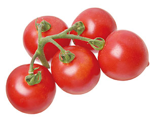 �f�������e�@�t���[�c���r�[EX 9cm�c