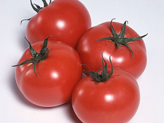 �T�J�^�̃^�l�@�g�}�g�c �팎