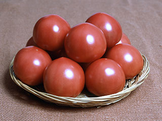 �T�J�^�̃^�l�@���t���̗ǂ���ʃg�}�g �ږ؁@�p���g