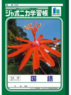 ショウワ　ジャポニカ　国語　１２行　ＪＬ－１１