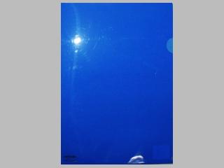 ＬＩＨＩＴＬＡＢ　カラークリヤーホルダーＡ４　Ｆ－７８－８　青