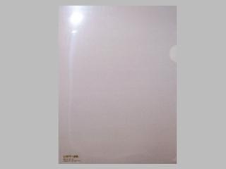 ＬＩＨＩＴＬＡＢ　カラークリヤーホルダーＡ４　Ｆ－７８－１６　ベージュ