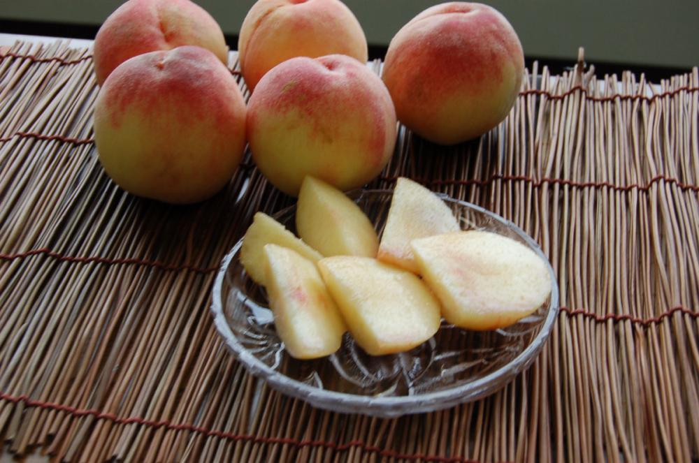 和歌山の桃　早生白鳳　家庭用　約２．８ｋｇ（８～１２玉入）【注文期限：6月28日】