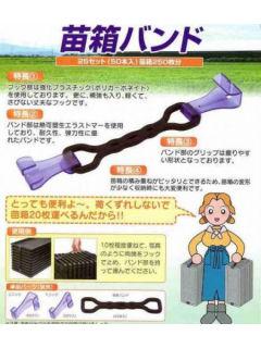 苗箱バンド　５０本入り