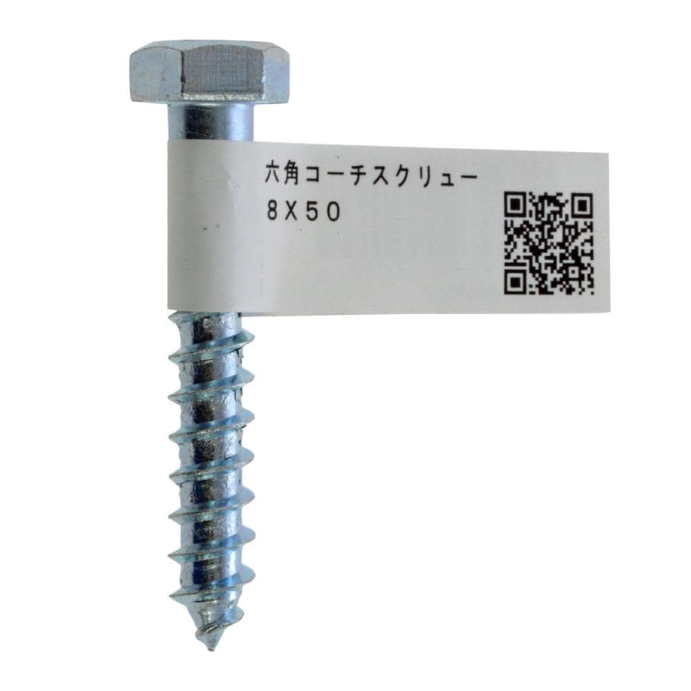 六角コーチ　８×５０