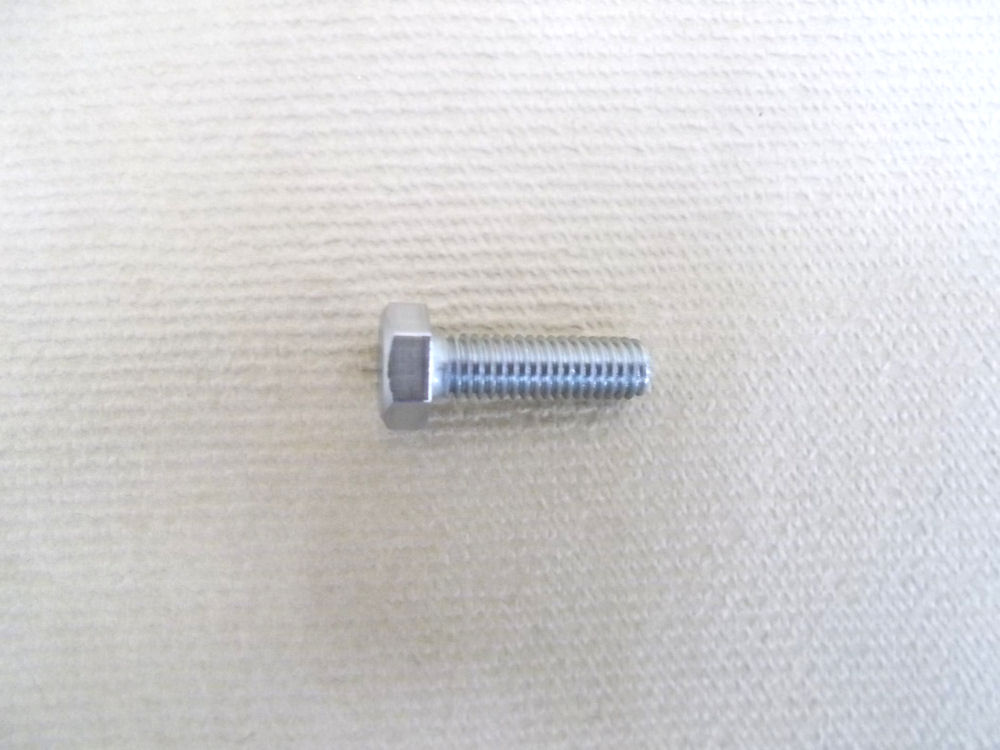 ステン　６角ボルト　（バラ）　６×２０