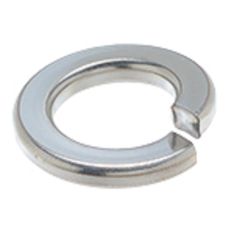 ステンバネザ　バラ　５