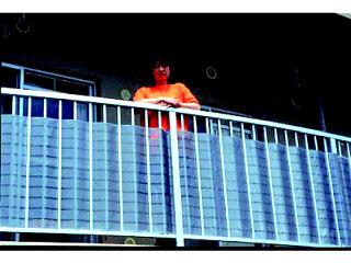 ダイオベール　８０ｃｍ×１．８ｍ　シルバーグレー