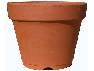 駄温　深鉢　１０号　０４４